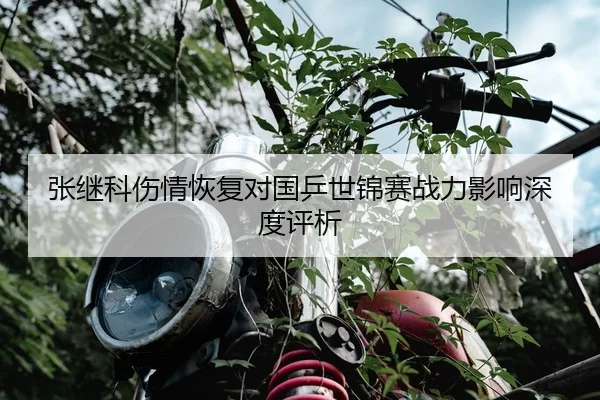 张继科伤情恢复对国乒世锦赛战力影响深度评析